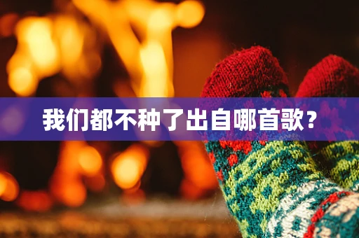 我们都不种了出自哪首歌？
