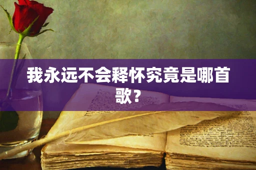 我永远不会释怀究竟是哪首歌？
