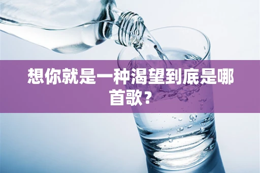 想你就是一种渴望到底是哪首歌？