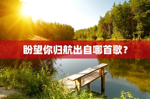 盼望你归航出自哪首歌？