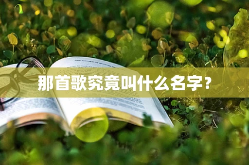 那首歌究竟叫什么名字？