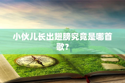 小伙儿长出翅膀究竟是哪首歌？
