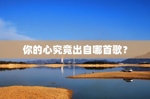 你的心究竟出自哪首歌？