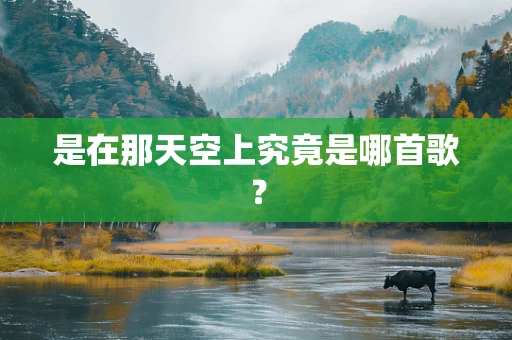 是在那天空上究竟是哪首歌？