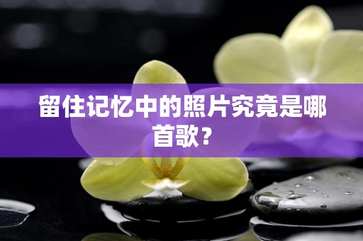 留住记忆中的照片究竟是哪首歌？
