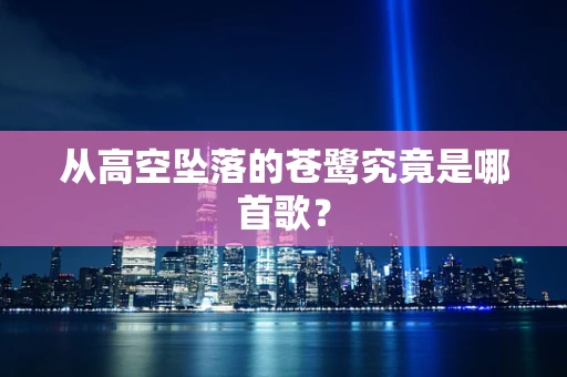 从高空坠落的苍鹭究竟是哪首歌？