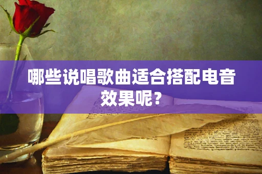 哪些说唱歌曲适合搭配电音效果呢？