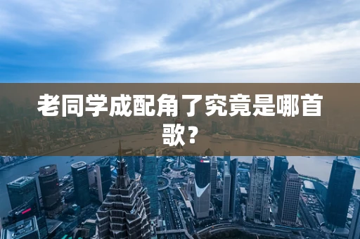 老同学成配角了究竟是哪首歌？