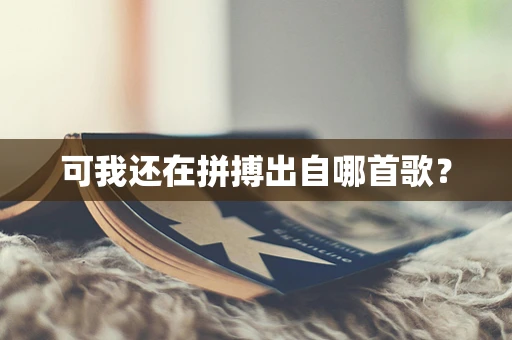 可我还在拼搏出自哪首歌？