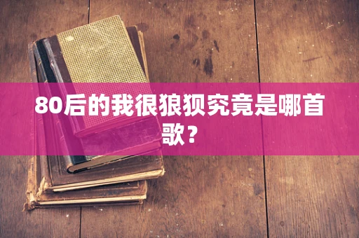 80后的我很狼狈究竟是哪首歌？