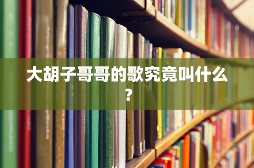 大胡子哥哥的歌究竟叫什么？