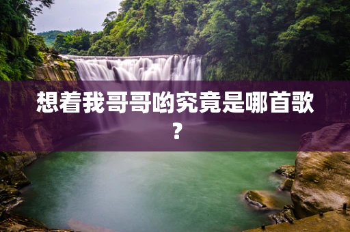 想着我哥哥哟究竟是哪首歌？