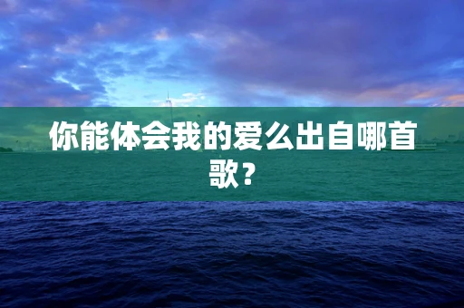 你能体会我的爱么出自哪首歌？