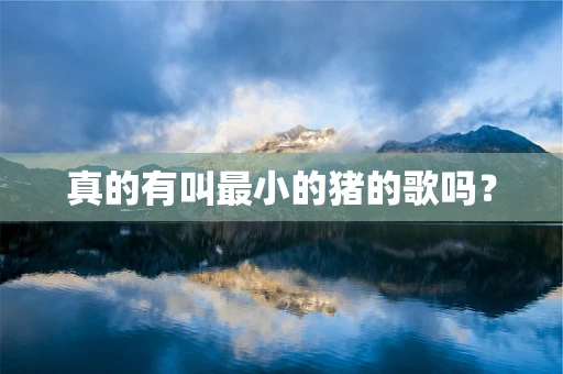 真的有叫最小的猪的歌吗？