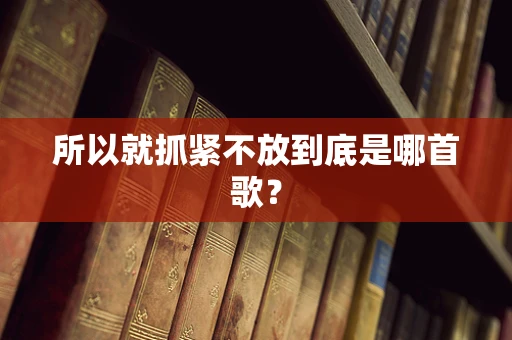 所以就抓紧不放到底是哪首歌？