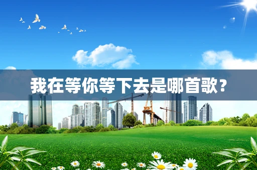 我在等你等下去是哪首歌？