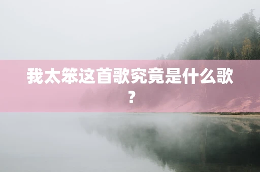 我太笨这首歌究竟是什么歌？