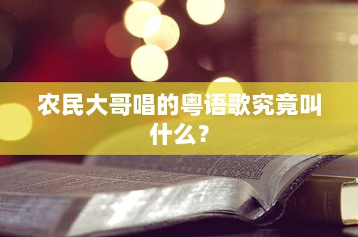 农民大哥唱的粤语歌究竟叫什么？