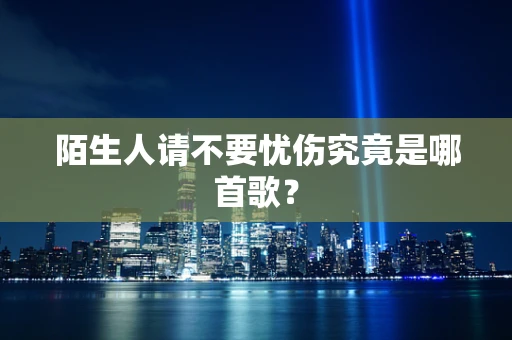 陌生人请不要忧伤究竟是哪首歌？