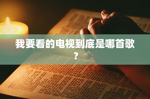 我要看的电视到底是哪首歌？