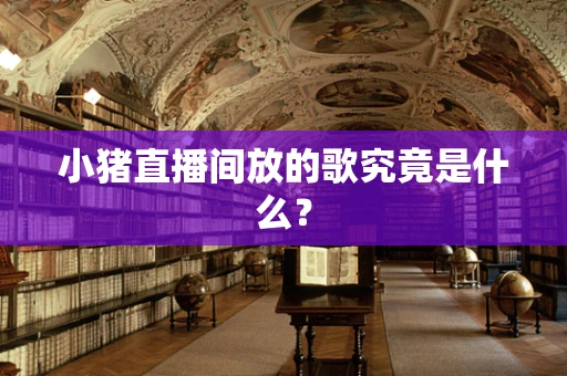 小猪直播间放的歌究竟是什么？