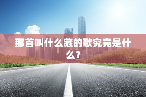 那首叫什么藏的歌究竟是什么？