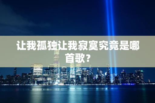让我孤独让我寂寞究竟是哪首歌？