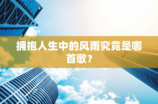拥抱人生中的风雨究竟是哪首歌？
