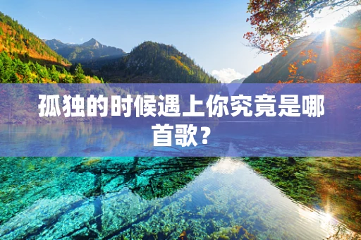 孤独的时候遇上你究竟是哪首歌？