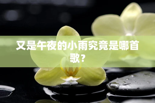 又是午夜的小雨究竟是哪首歌？