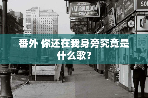 番外 你还在我身旁究竟是什么歌？