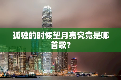 孤独的时候望月亮究竟是哪首歌？