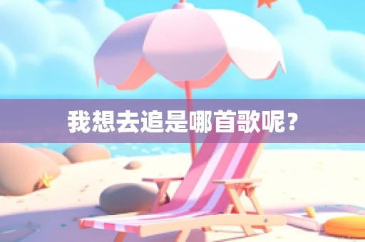 我想去追是哪首歌呢？