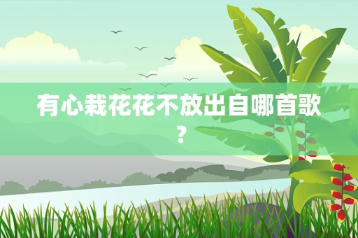 有心栽花花不放出自哪首歌？