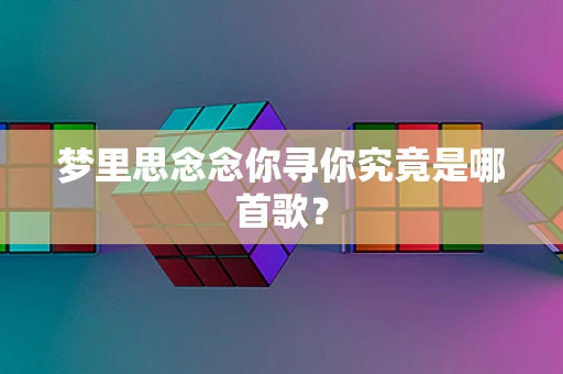 梦里思念念你寻你究竟是哪首歌？