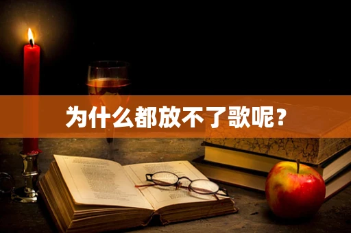 为什么都放不了歌呢？