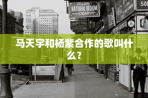 马天宇和杨紫合作的歌叫什么？