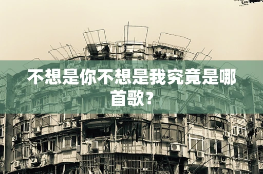 不想是你不想是我究竟是哪首歌？