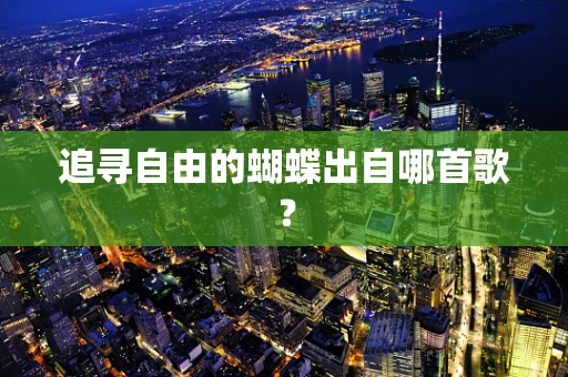 追寻自由的蝴蝶出自哪首歌？