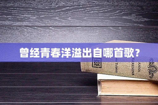 曾经青春洋溢出自哪首歌？