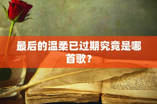 最后的温柔已过期究竟是哪首歌？