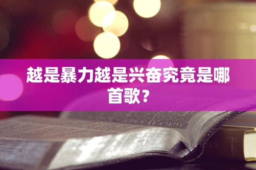 越是暴力越是兴奋究竟是哪首歌？