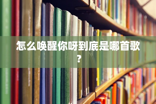 怎么唤醒你呀到底是哪首歌？