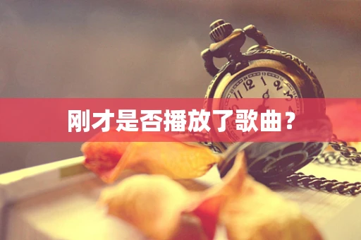刚才是否播放了歌曲？