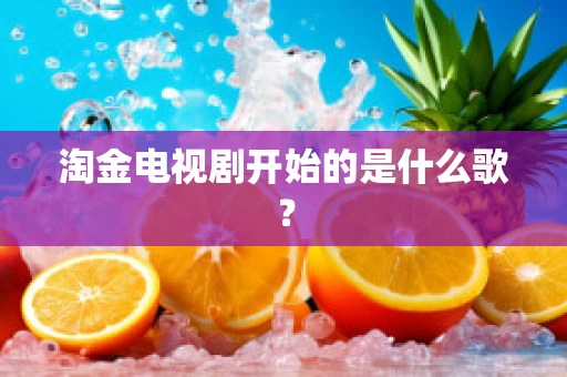 淘金电视剧开始的是什么歌？
