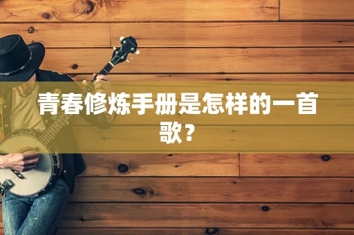 青春修炼手册是怎样的一首歌？