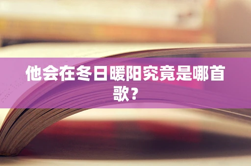 他会在冬日暖阳究竟是哪首歌？