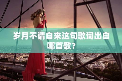 岁月不请自来这句歌词出自哪首歌？
