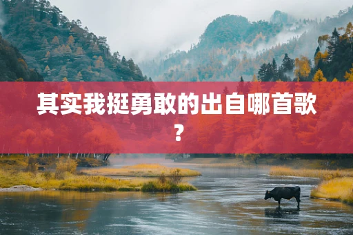 其实我挺勇敢的出自哪首歌？