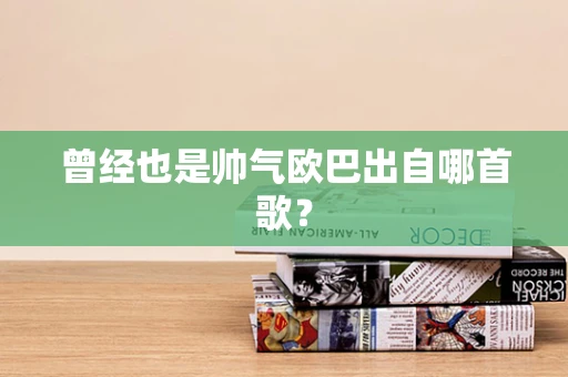 曾经也是帅气欧巴出自哪首歌？